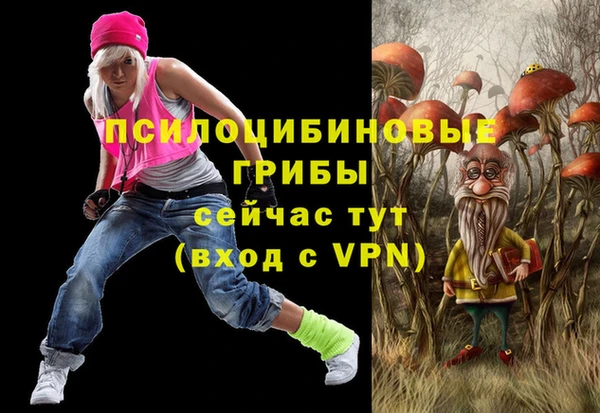 ALPHA PVP Карталы