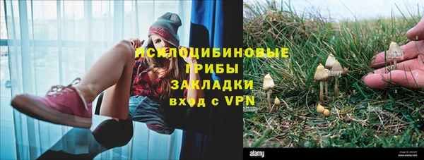 бошки Карпинск