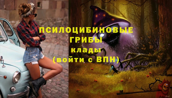 бошки Касимов