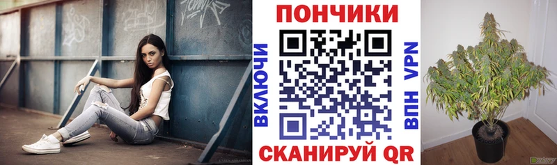 Шишки марихуана LSD WEED  Купить где  Вилюйск 